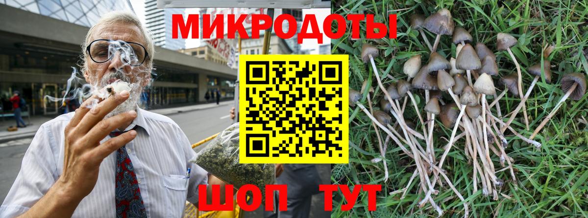 Псилоцибиновые грибы Cubensis Южноуральск